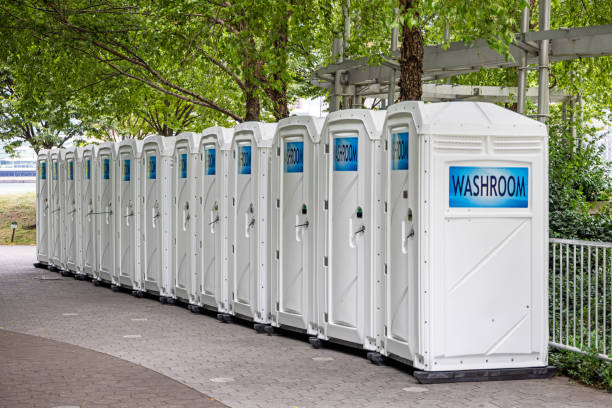 Portable Toilet Options We Offer in Blennerhassett, WV